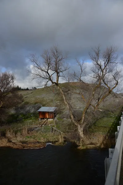 DSC_1023 (Large).JPG